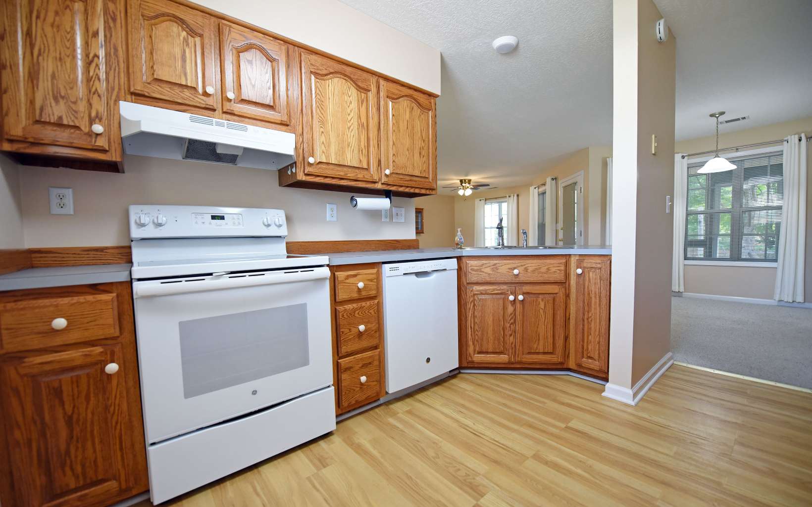 31 Sunset Court Blue Ridge, GA 30513 - Photo 2 of 4 Additional View