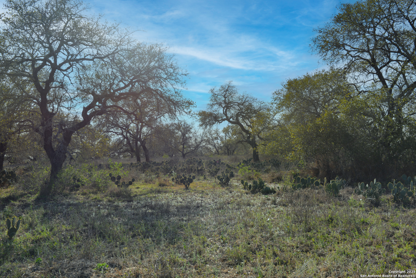 0 Fm 476 Poteet, TX 78065 - Photo 4 of 8