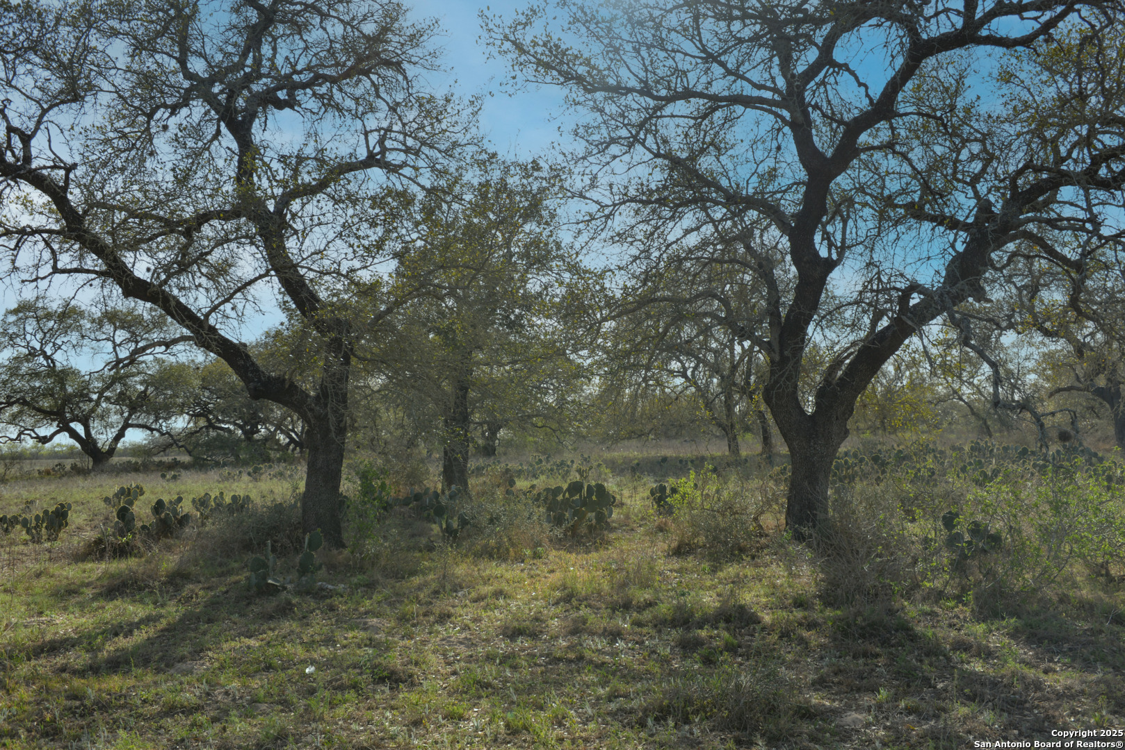 0 Fm 476 Poteet, TX 78065 - Photo 5 of 8