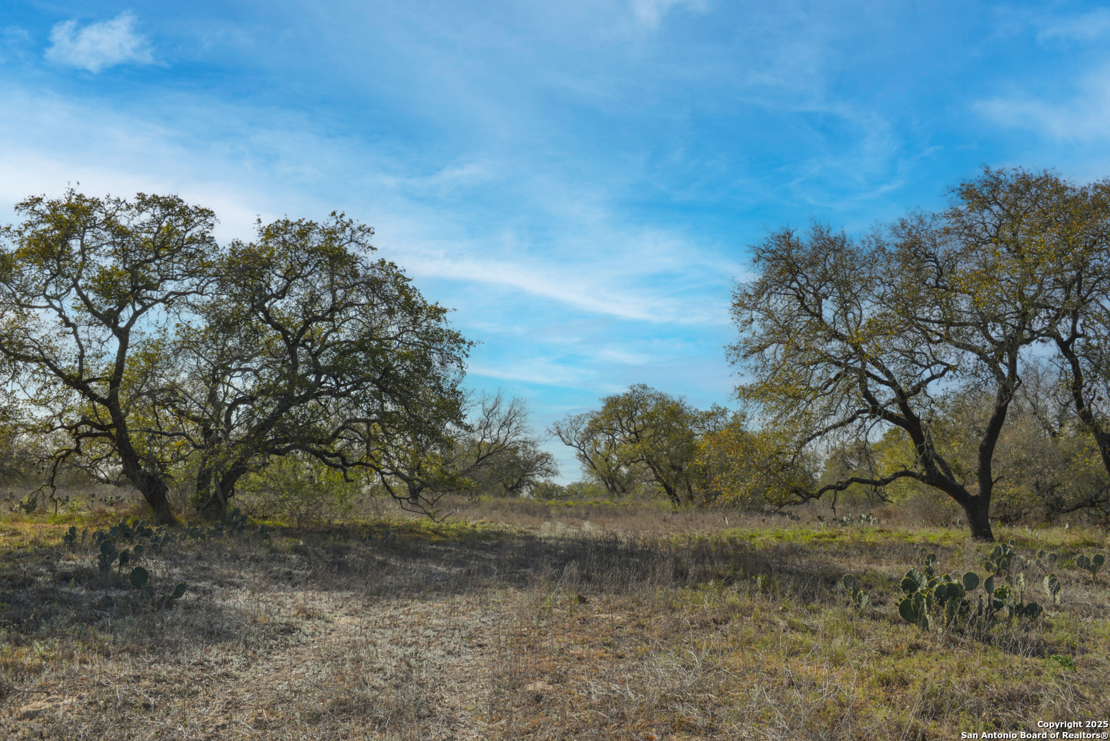 0 Fm 476 Poteet, TX 78065 - Photo 6 of 8