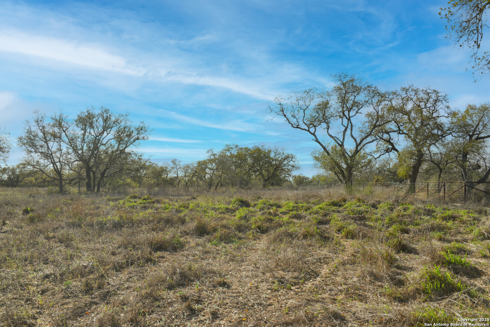 0 Fm 476 Poteet, TX 78065 - Photo 7 of 8