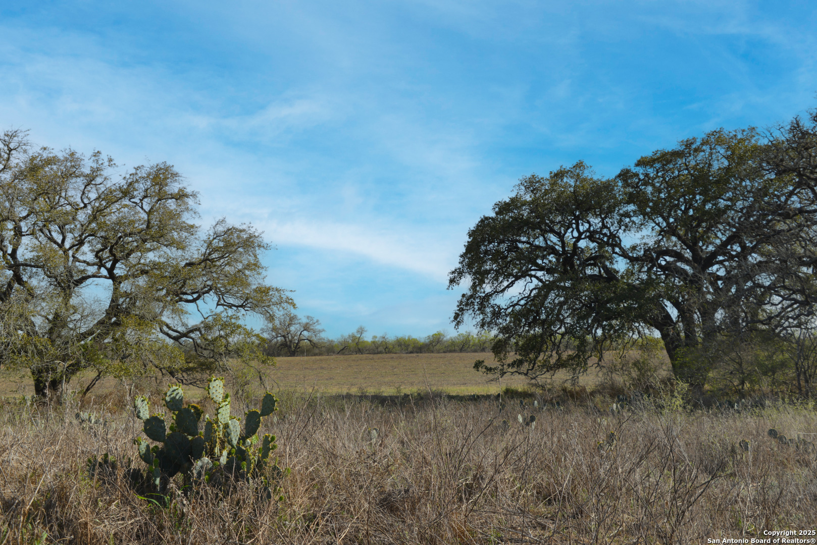 0 Fm 476 Poteet, TX 78065 - Photo 8 of 8