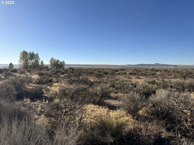 $10,000 | Pinion Lane, Christmas Valley, OR 97641