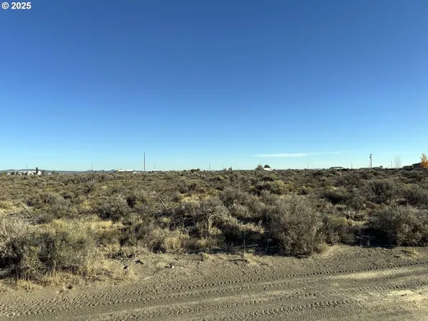 a view of a dry yard with trees
