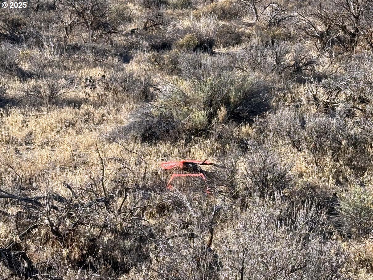 Pinion Lane Christmas Valley, OR 97641 - Photo 13 of 34