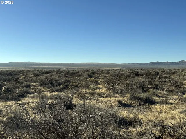 $10,000 | Pinion Lane, Christmas Valley, OR 97641