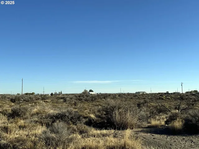 $10,000 | Pinion Lane, Christmas Valley, OR 97641