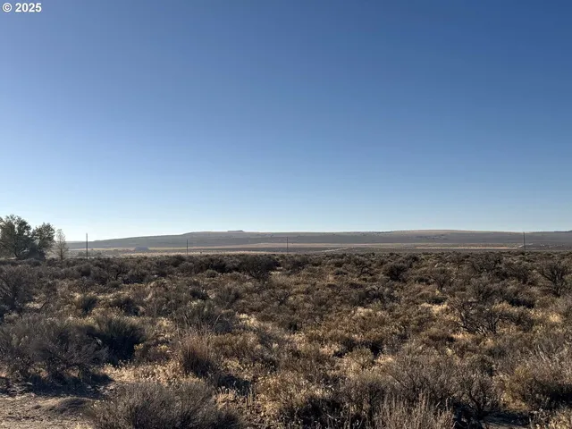 $10,000 | Pinion Lane, Christmas Valley, OR 97641