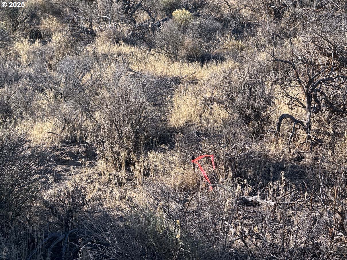 Pinion Lane Christmas Valley, OR 97641 - Photo 23 of 34