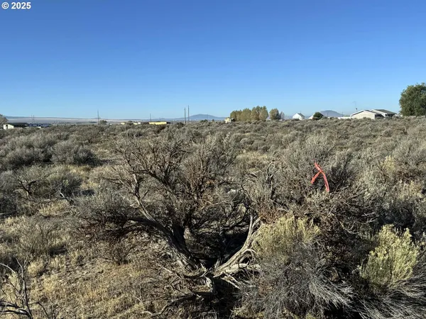 a view of a dry yard