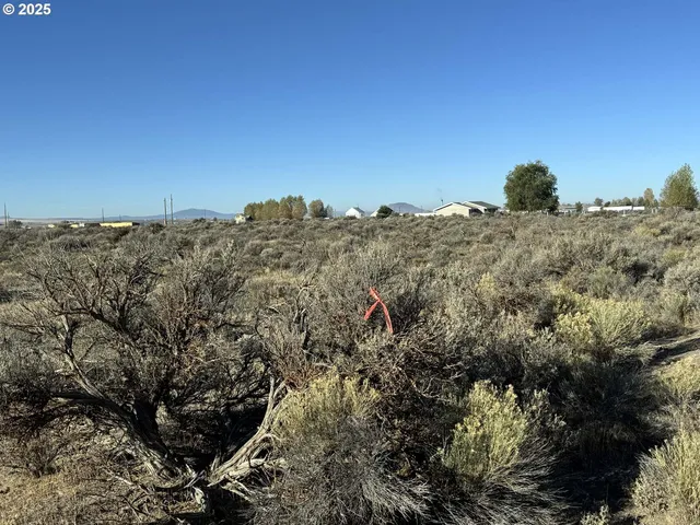 $10,000 | Pinion Lane, Christmas Valley, OR 97641