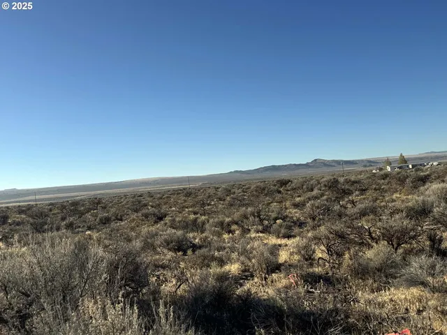 $10,000 | Pinion Lane, Christmas Valley, OR 97641