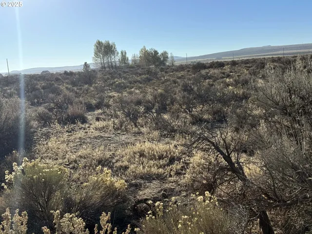 $10,000 | Pinion Lane, Christmas Valley, OR 97641