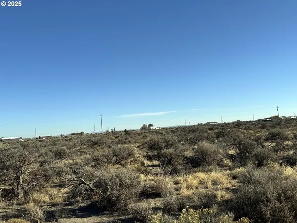 $10,000 | Pinion Lane, Christmas Valley, OR 97641