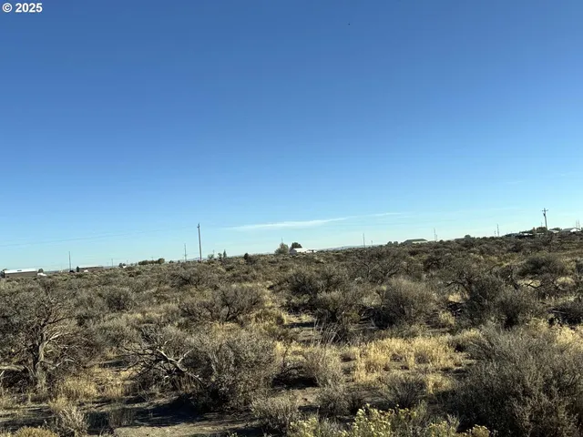 $10,000 | Pinion Lane, Christmas Valley, OR 97641