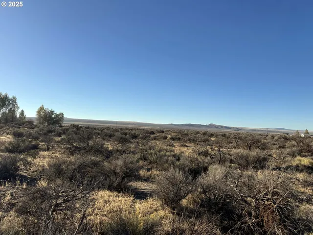 $10,000 | Pinion Lane, Christmas Valley, OR 97641