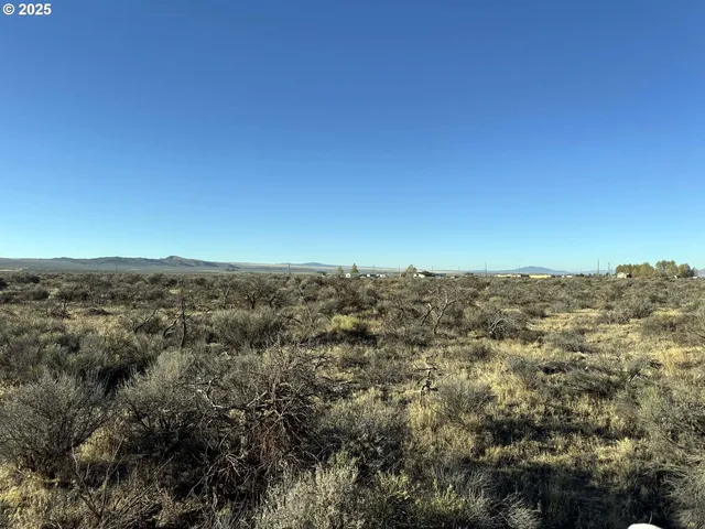 $10,000 | Pinion Lane, Christmas Valley, OR 97641