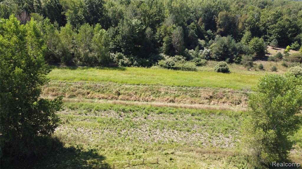 22735 Ederer Road Merrill, MI 48637 - Photo 30 of 34