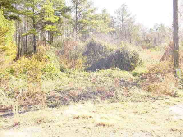 0 Co Road Shorterville, AL 36373 - Photo 2 of 4