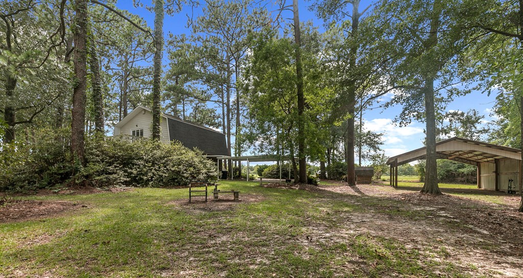 6850 North Co Road Columbia, AL 36319 - Photo 2 of 81