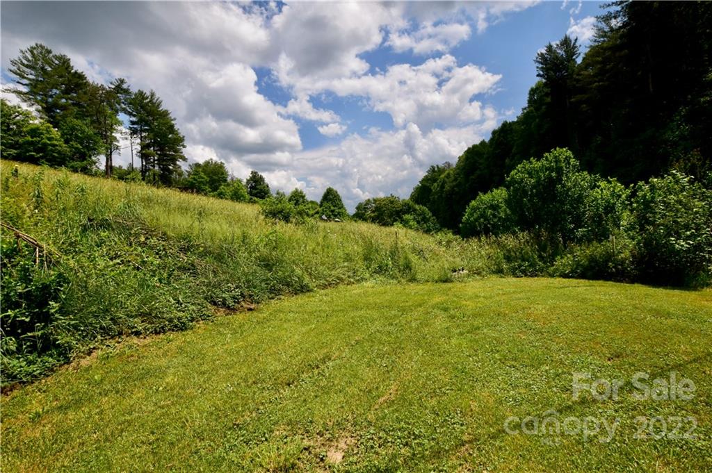272 Lloyd Drive Mars Hill, NC 28754 - Photo 12 of 21 a view of a big yard with plants and large trees
