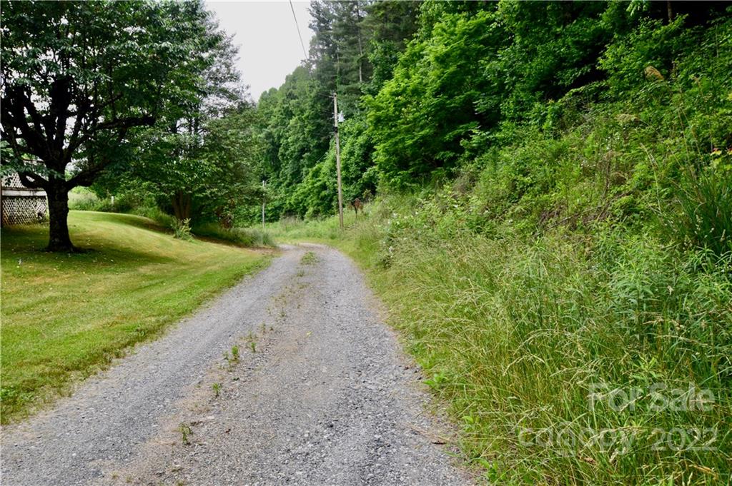 272 Lloyd Drive Mars Hill, NC 28754 - Photo 16 of 21 a view of a yard with plants and trees