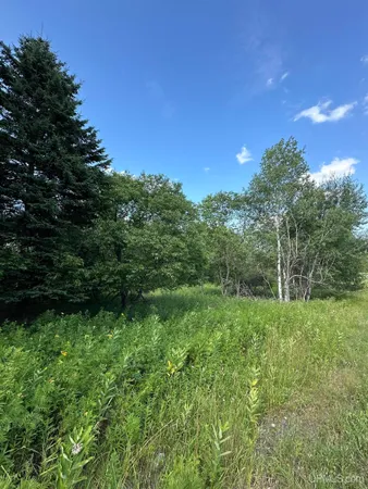 $9,000 | Tbd Blossom Street, Iron River, MI 49935