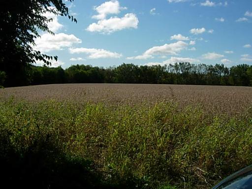 0 Hoxsey Road Leland, IL 60531 - Photo 1 of 7