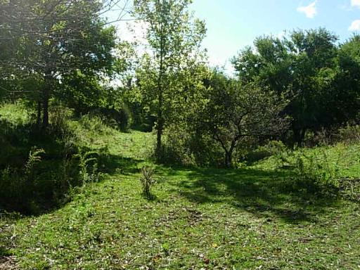 0 Hoxsey Road Leland, IL 60531 - Photo 2 of 7