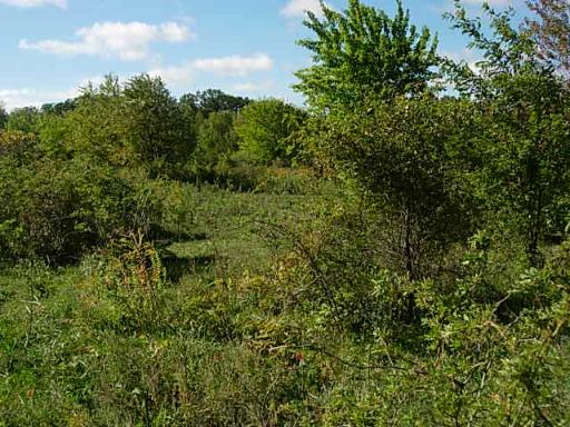 0 Hoxsey Road Leland, IL 60531 - Photo 3 of 7