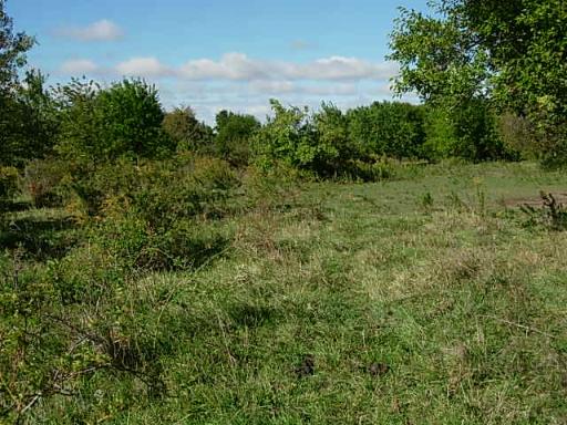 0 Hoxsey Road Leland, IL 60531 - Photo 4 of 7