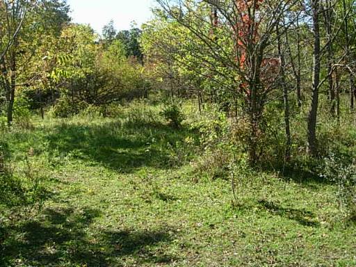 0 Hoxsey Road Leland, IL 60531 - Photo 5 of 7