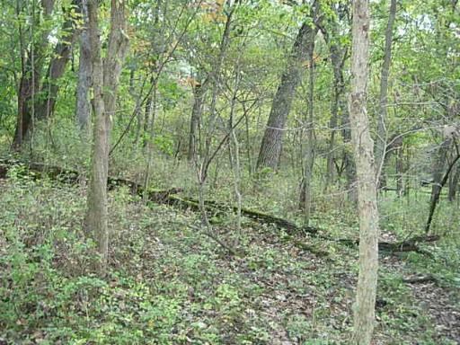 0 Hoxsey Road Leland, IL 60531 - Photo 7 of 7