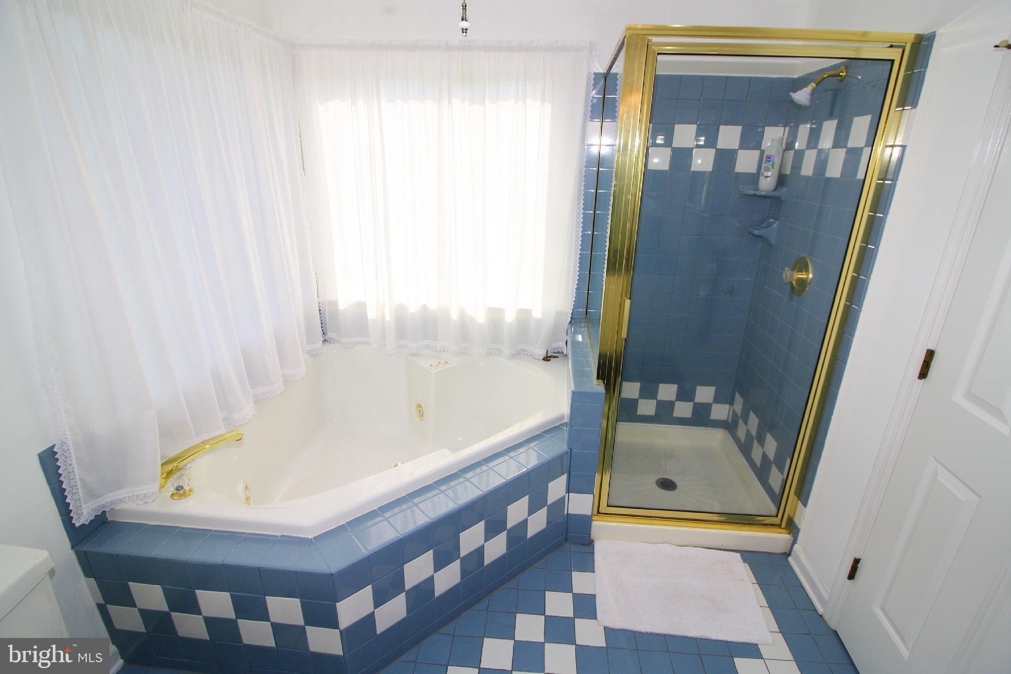 12 McCartney Road New Freedom, PA 17349 - Photo 32 of 48 Jacuzzi Jet Tub