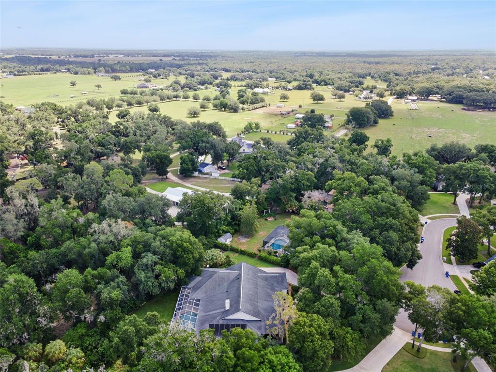 5002 Muir Way Lithia, FL 33547 - Photo 65 of 68