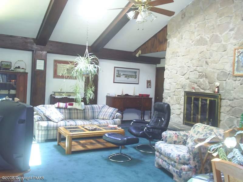 5 Devils Hole Road Cresco, PA 18326 - Photo 7 of 10 LIVING ROOM W/SKYLIGHTS!