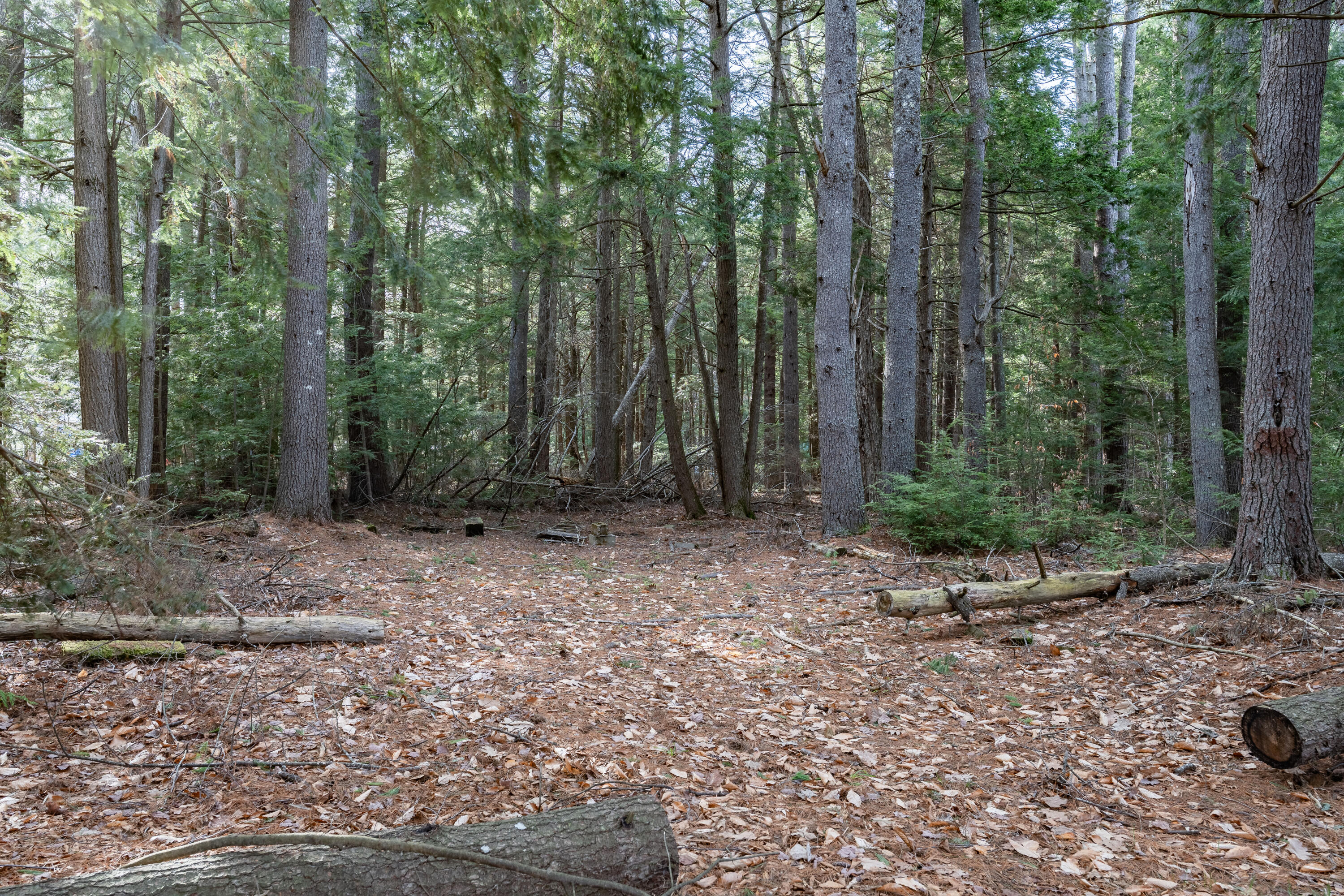 U03-049 Pine Point Road Oxford, ME 04270 - Photo 6 of 16 Level Lot