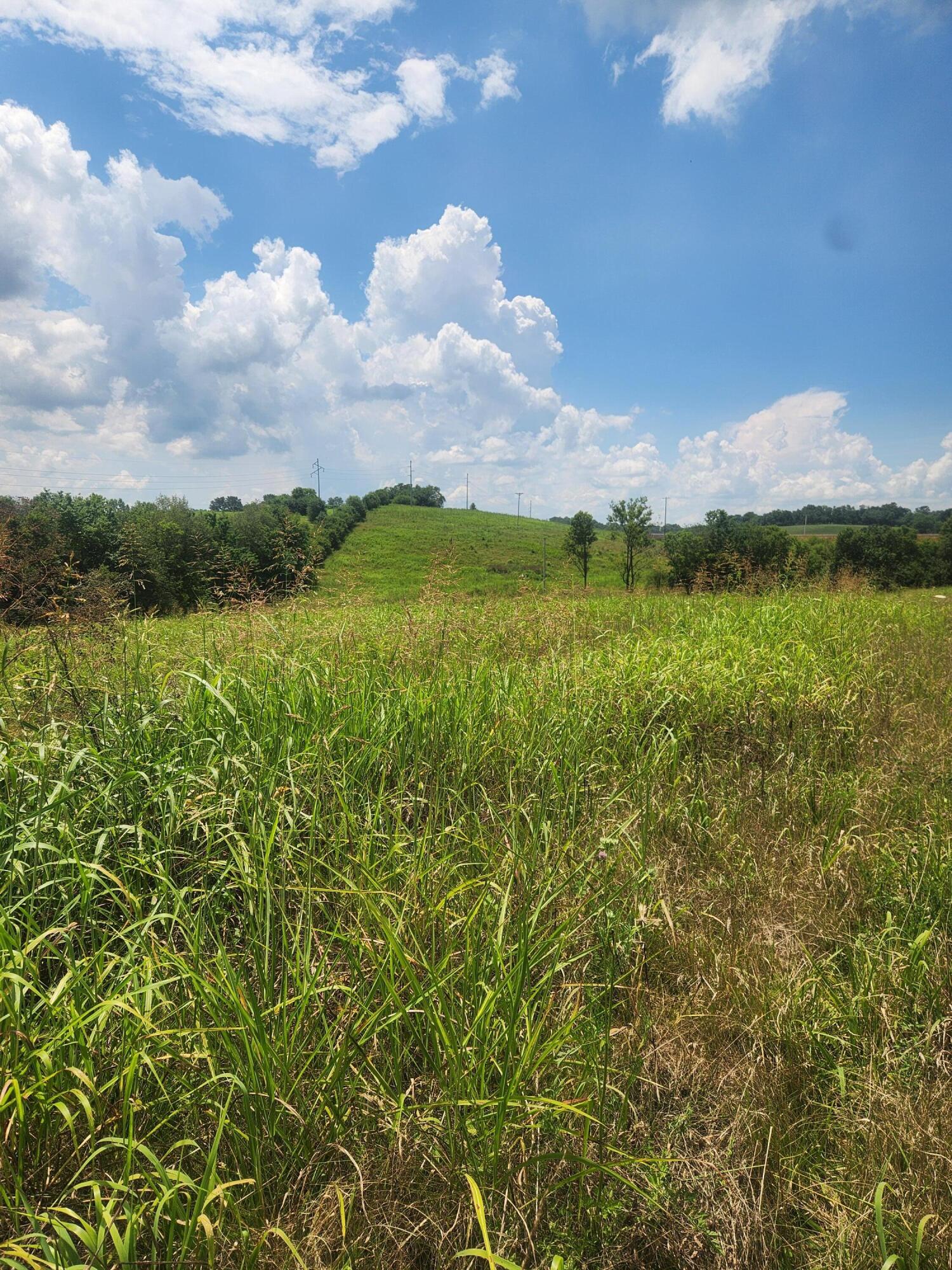 2145 Ruddles Mill Road Paris, KY 40361 - Photo 1 of 4 20260717_132303