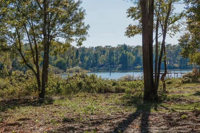 a view of a yard with large trees