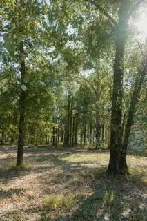 $325,000 | Lot 15 Private Road 5948, Yantis, TX 75497