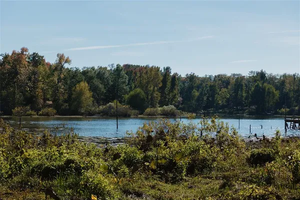 a view of a yard with an outdoor space