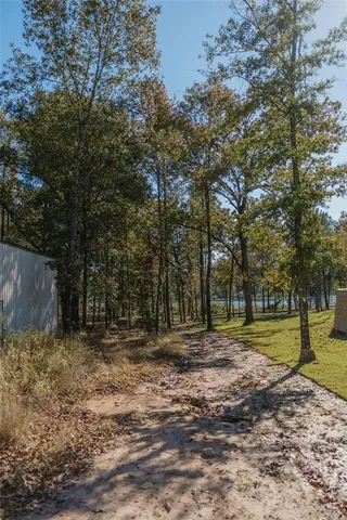 a big yard with trees