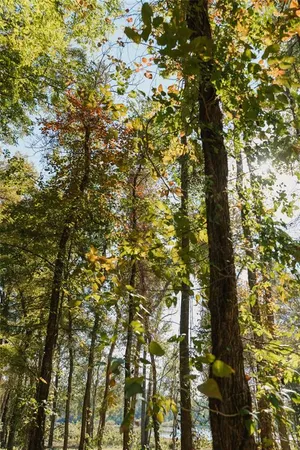 a bathroom with shower