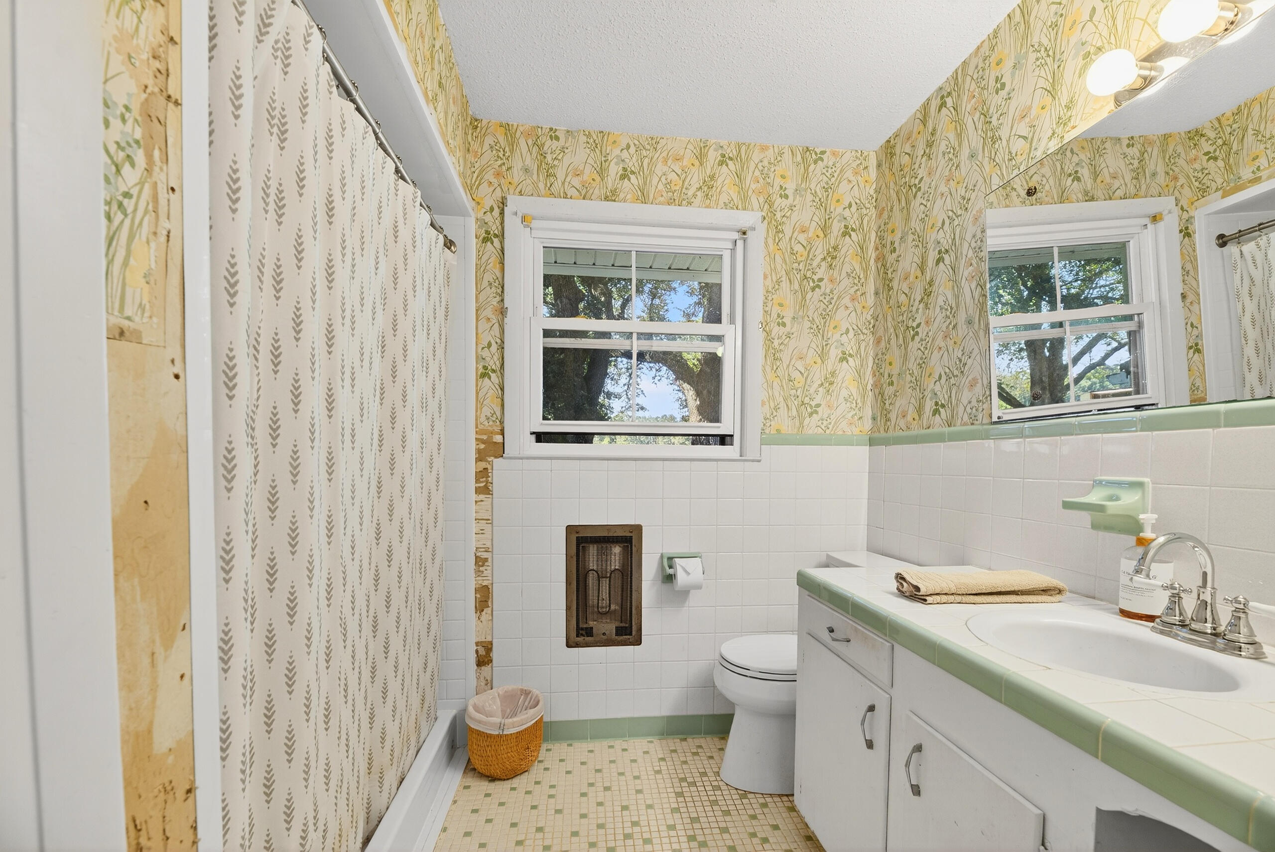 294 Nates Store Road Cameron, SC 29030 - Photo 22 of 43 Guest Bath with Step in Shower