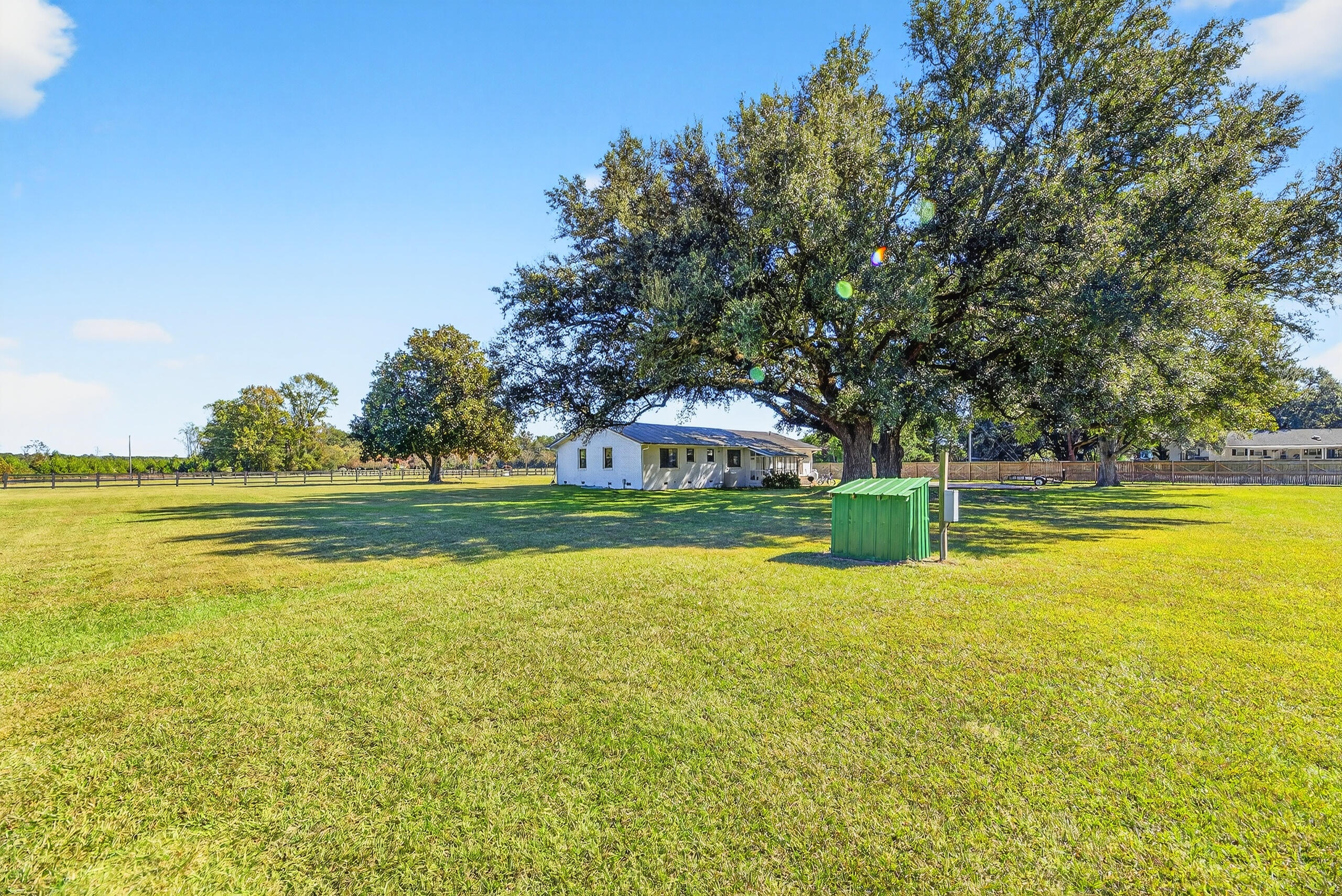 294 Nates Store Road Cameron, SC 29030 - Photo 26 of 43 Beautiful Angel Oak Trees
