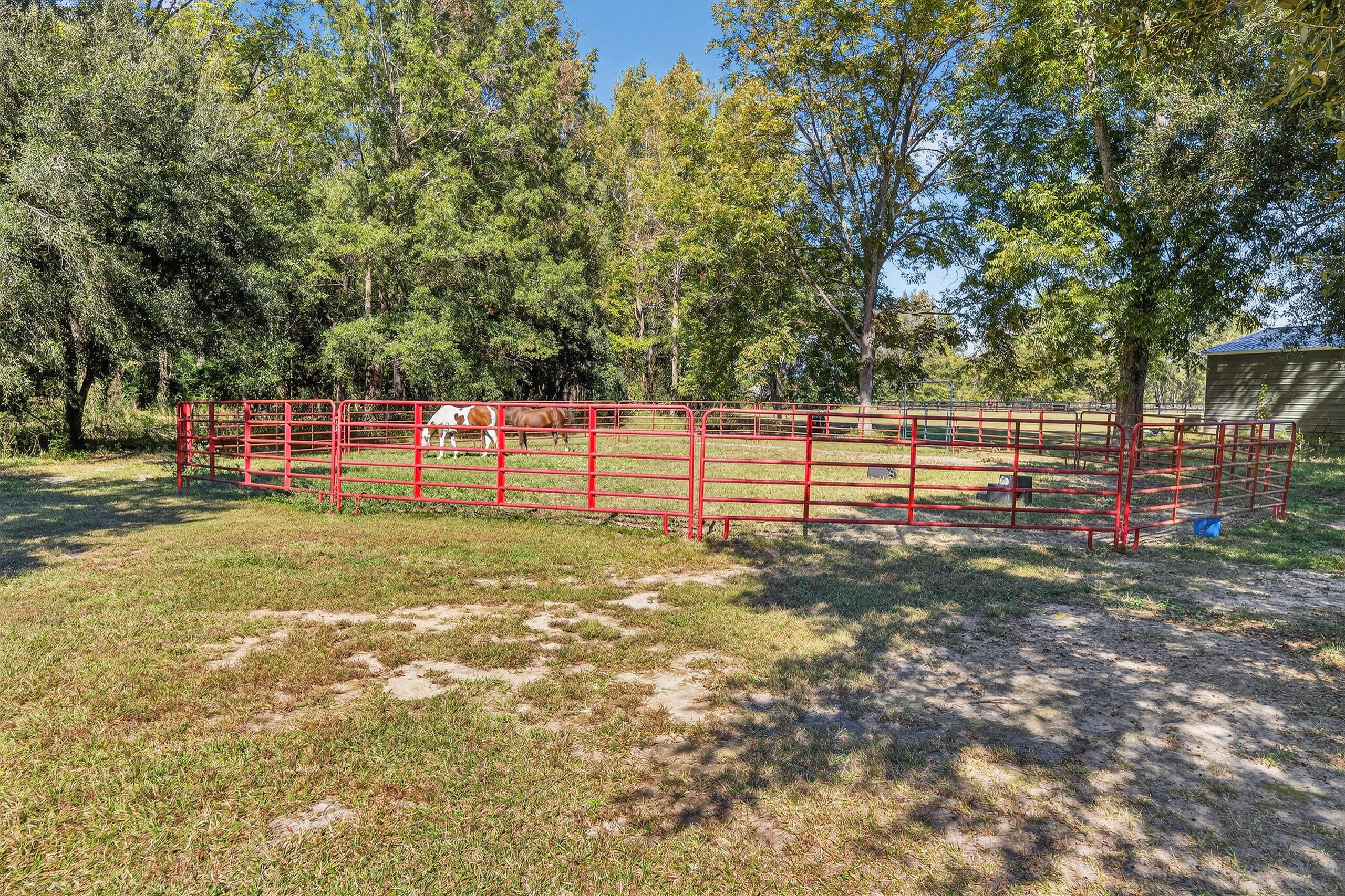 294 Nates Store Road Cameron, SC 29030 - Photo 29 of 43 Round Training Pen