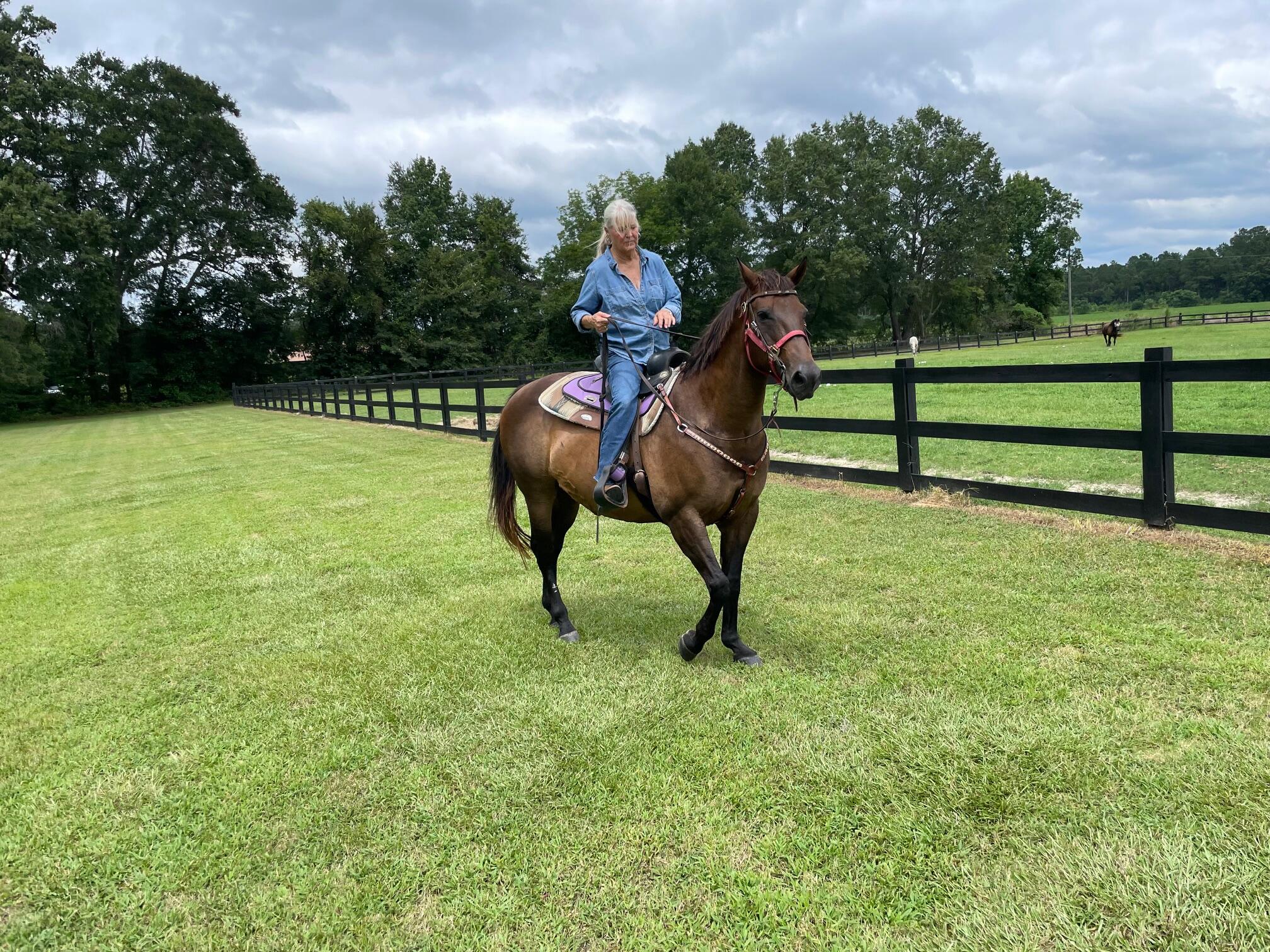 294 Nates Store Road Cameron, SC 29030 - Photo 37 of 46 IMG_0562