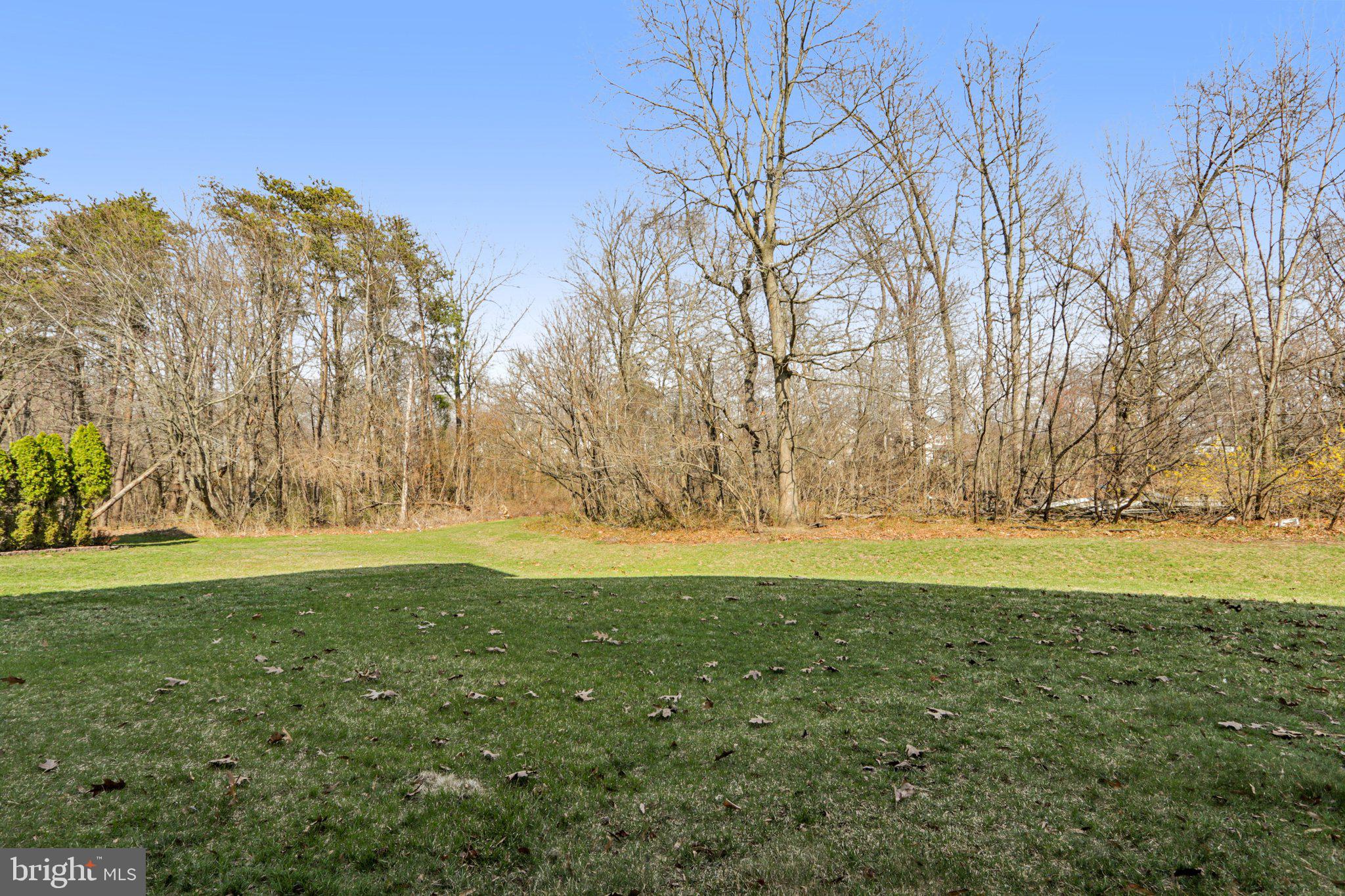24 Compass Circle Mount Laurel, NJ 08054 - Photo 51 of 61 a view of yard with large trees