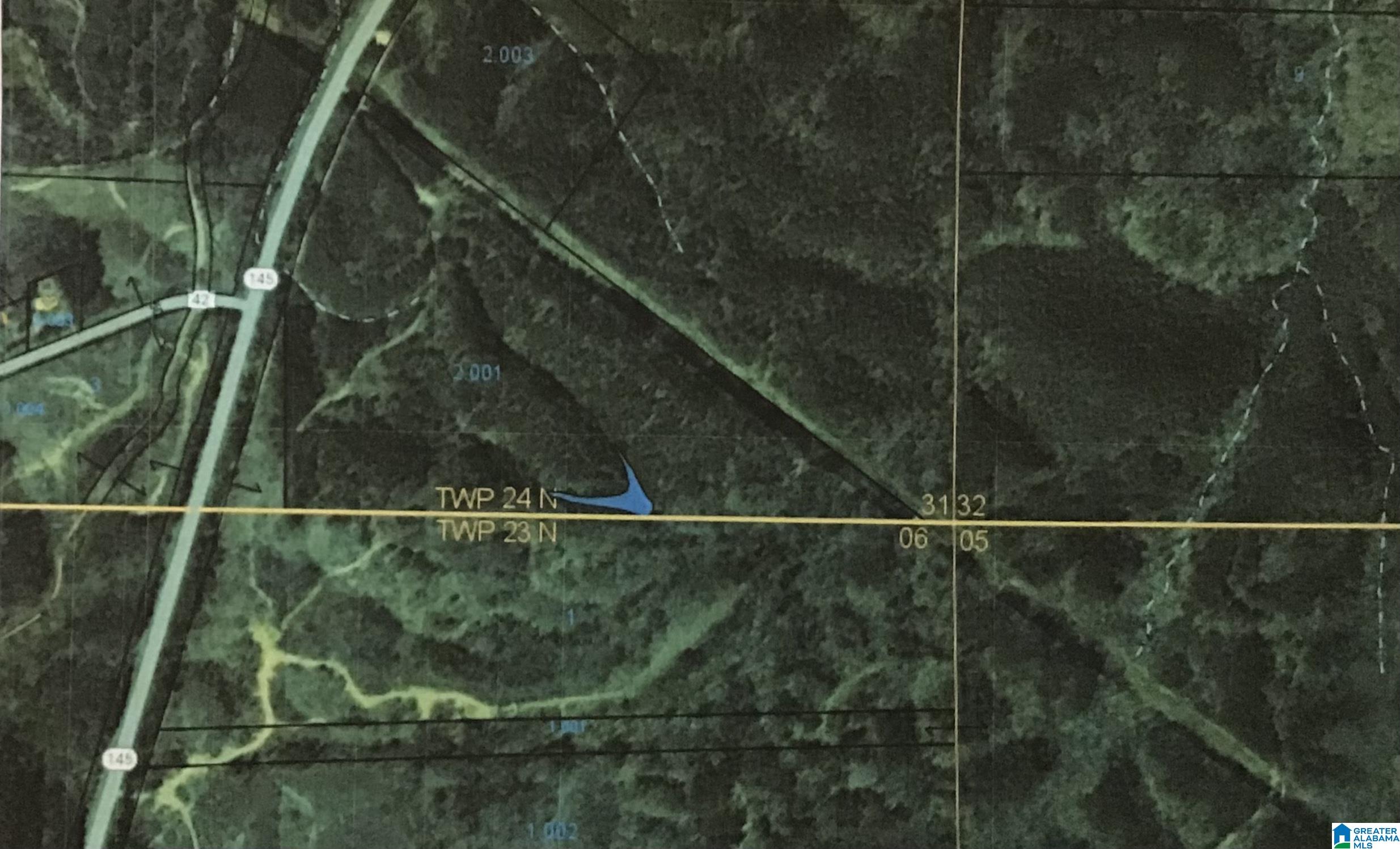0 Highway 145 Clanton, AL 35046 - Photo 1 of 4
