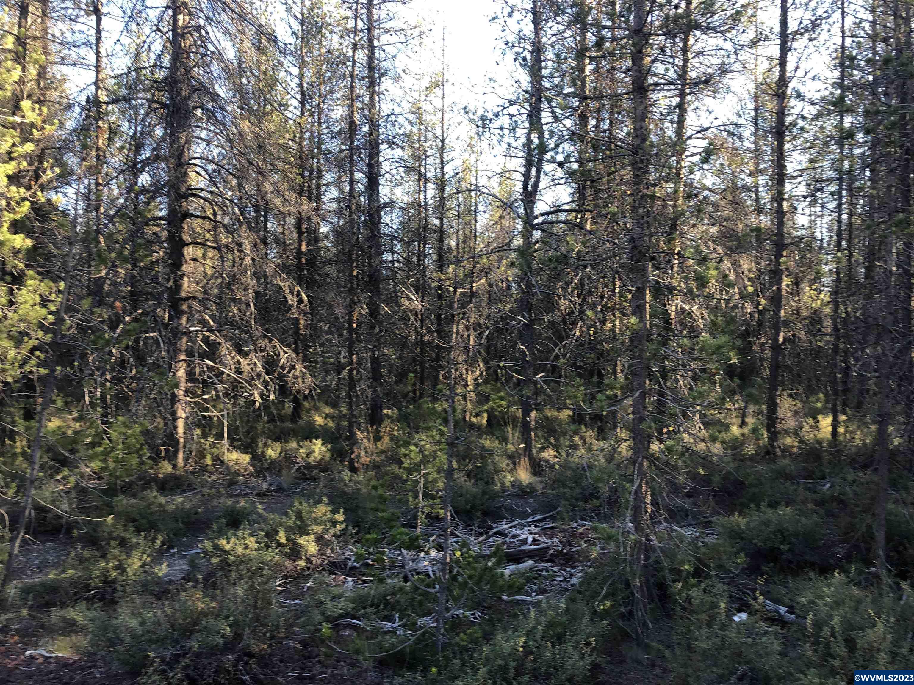 24 Priday Loop Chiloquin, OR 97624 - Photo 1 of 1